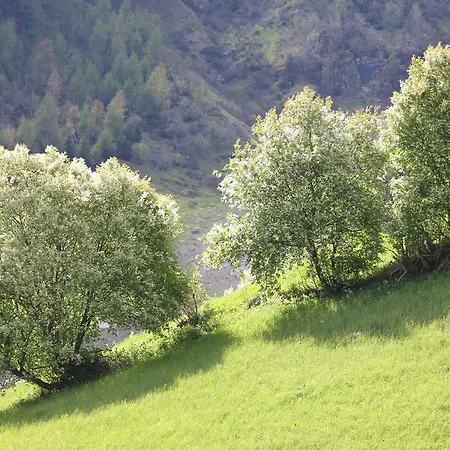 Gletscherblick فندق