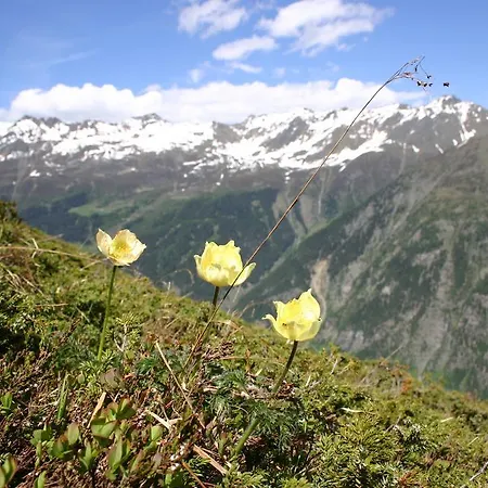 Apart Gletscherblick Kaunertal
