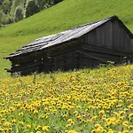 Gletscherblick 3* 考恩台尔