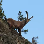 Gletscherblick 3* 考恩台尔