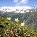 Gletscherblick 考恩台尔