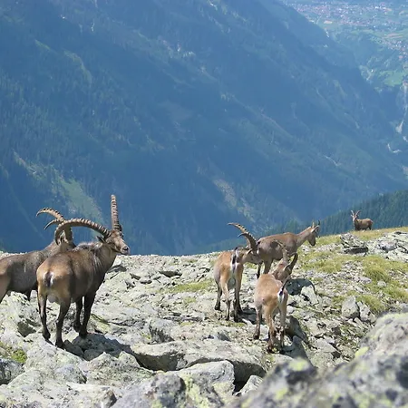 Hotel Gletscherblick Kaunertal