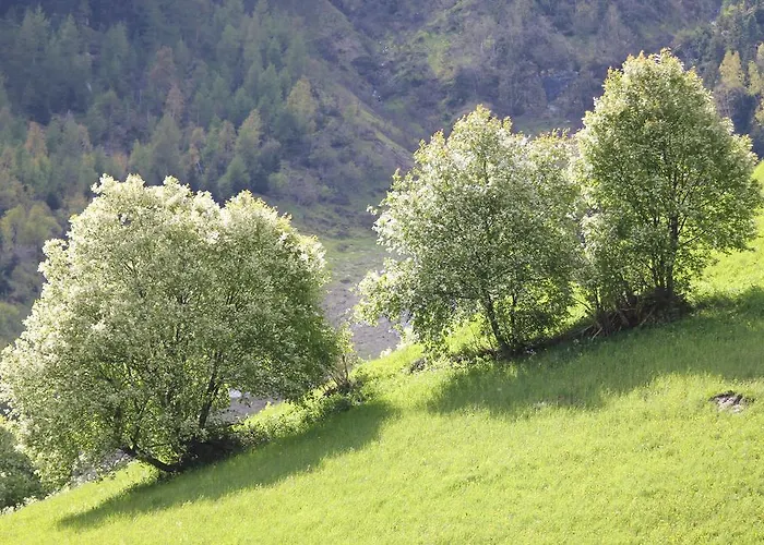 Gletscherblick Hotel
