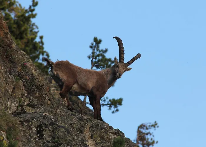 Gletscherblick 3* Kaunertal