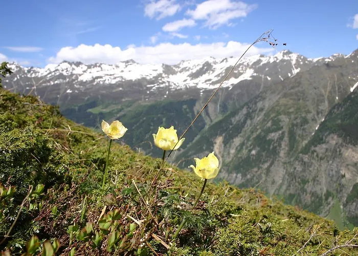 Gletscherblick Kaunertal