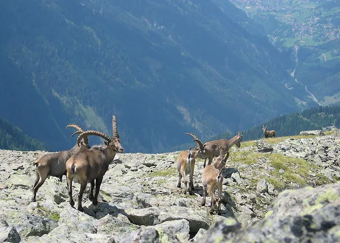 Hotel Gletscherblick Kaunertal